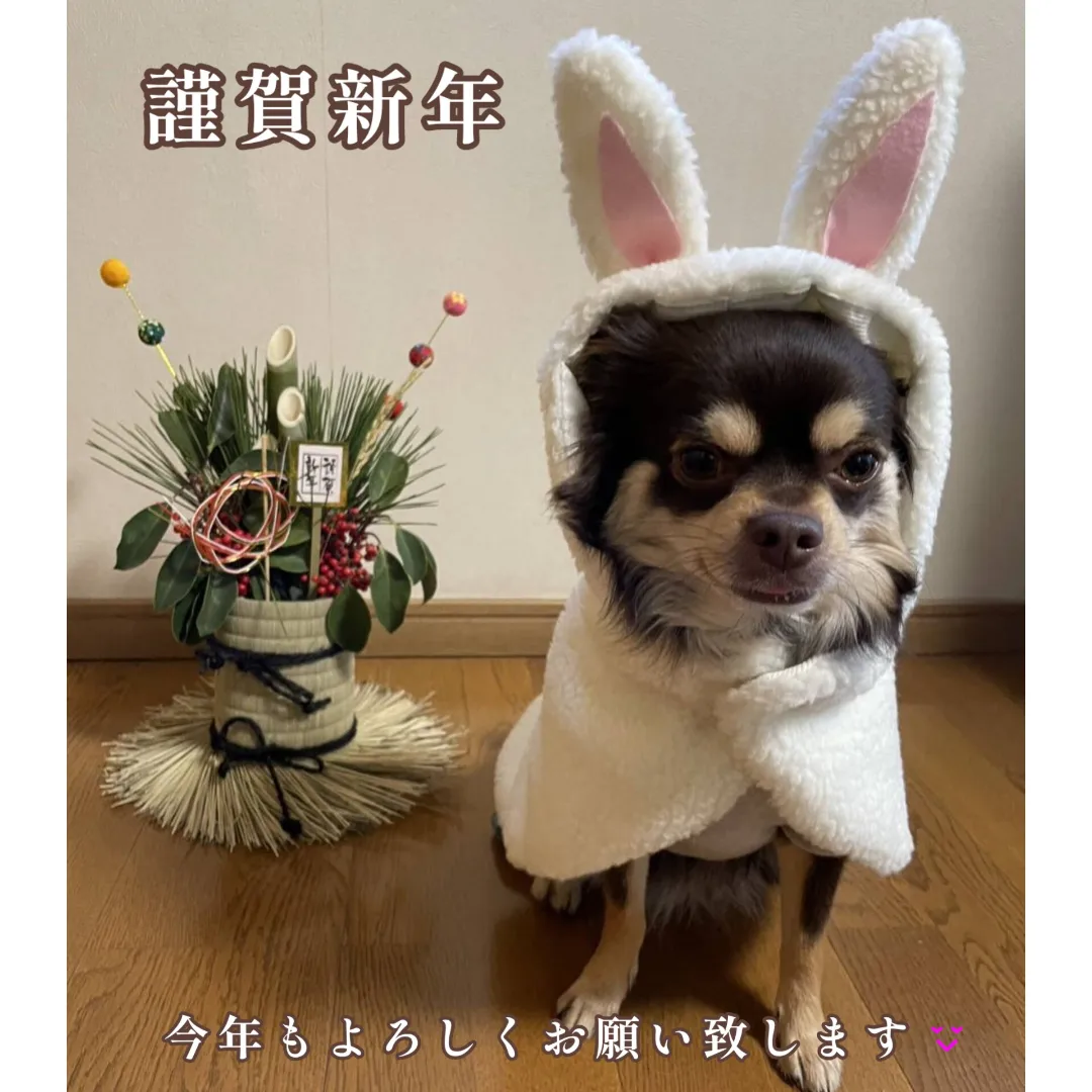 明けましておめでとうございます‼️🎍
