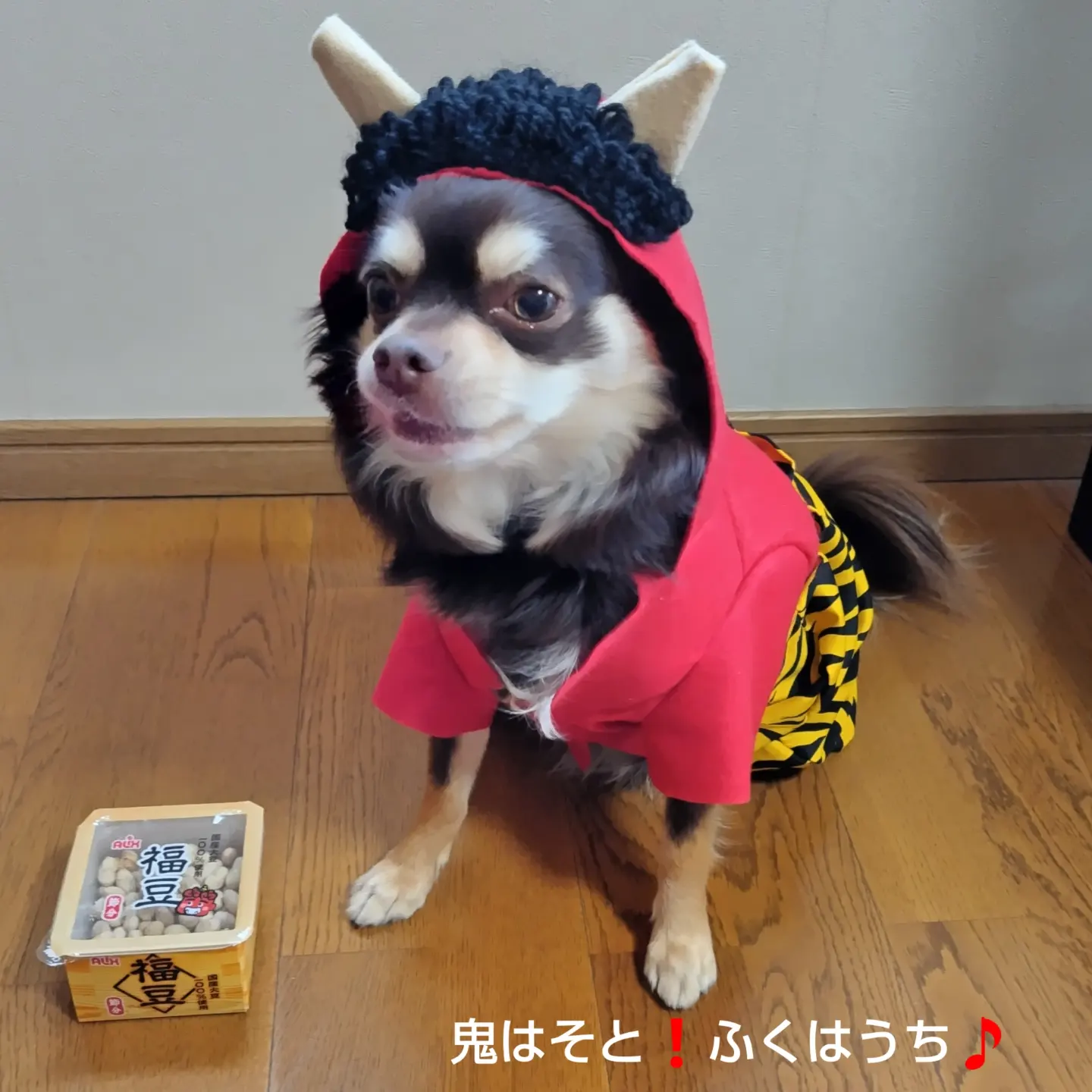 2023年2月3日・節分👹
