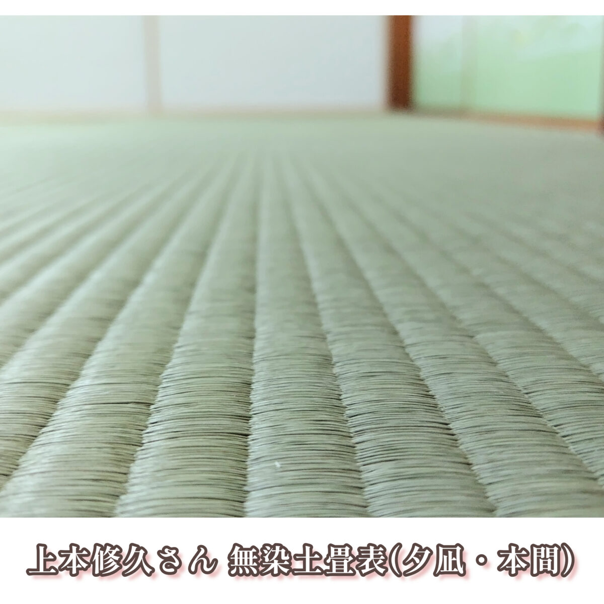 2023年8月26日/磯子区・U邸