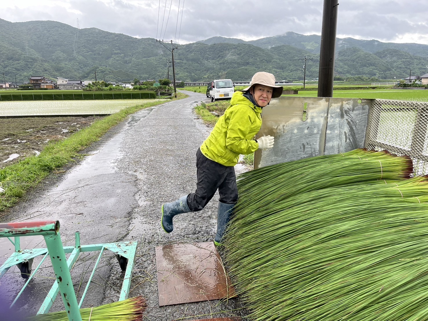 いぐさ刈取り研修に行って来ました−その①−